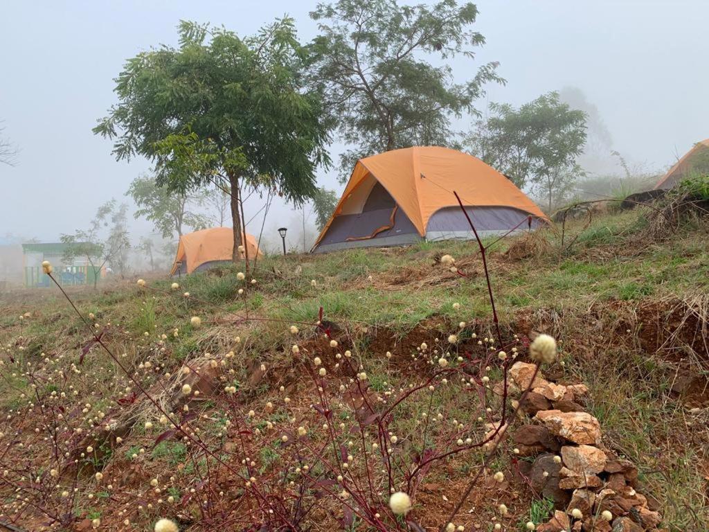 Wilderness Jungle Camp Otel Malavalli Dış mekan fotoğraf