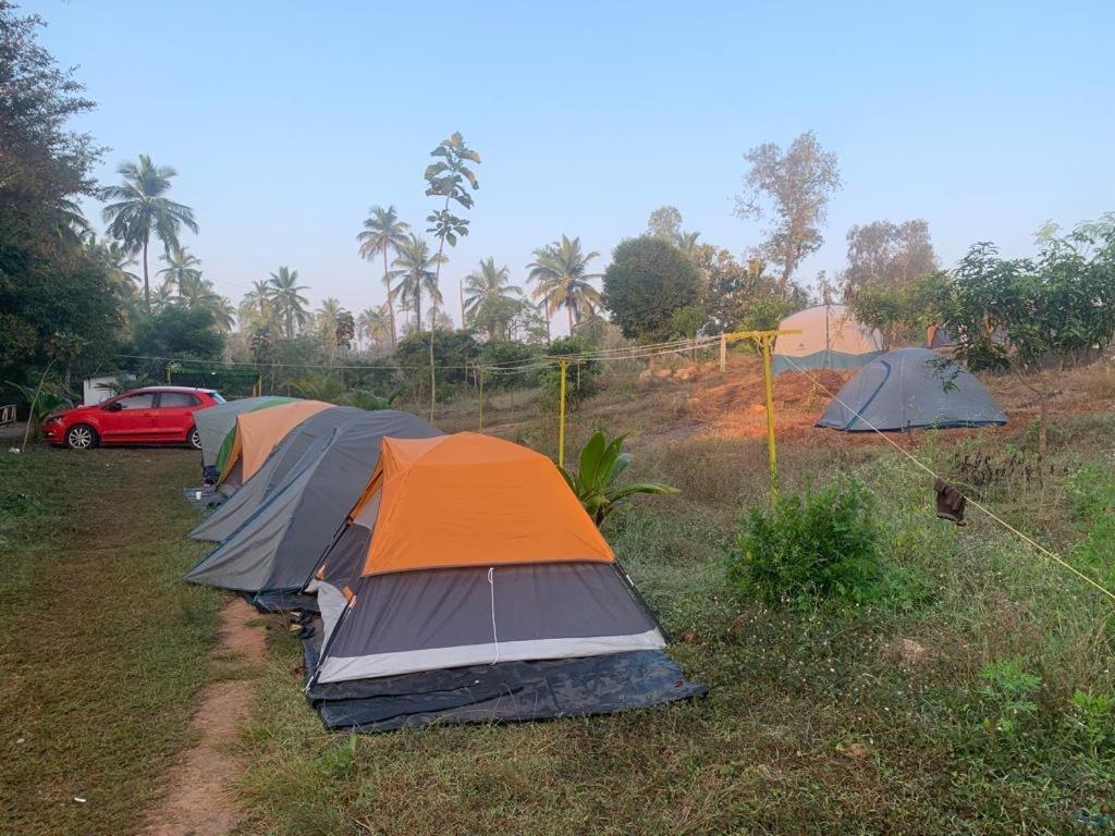 Wilderness Jungle Camp Otel Malavalli Dış mekan fotoğraf