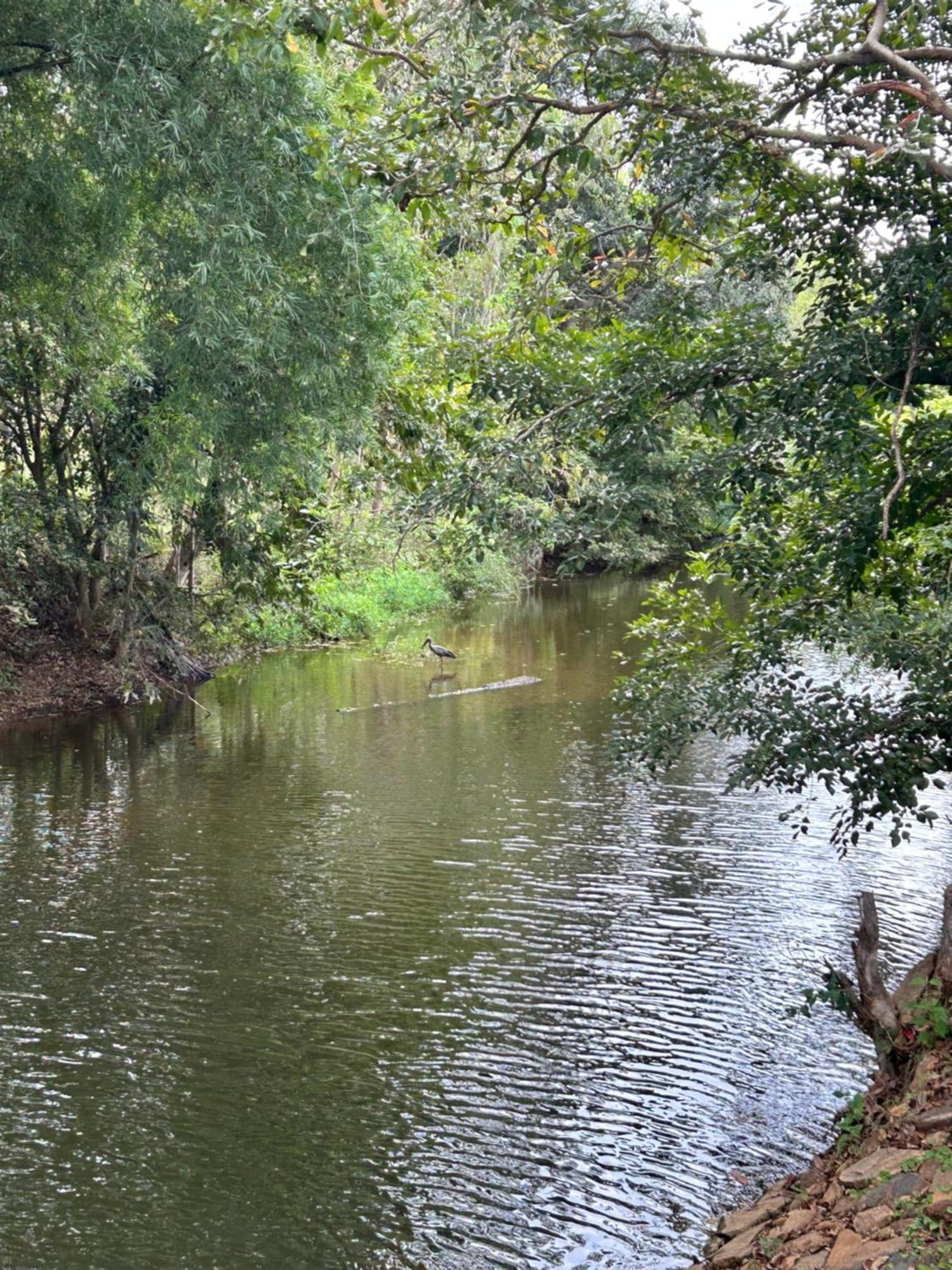 Wilderness Jungle Camp Otel Malavalli Dış mekan fotoğraf
