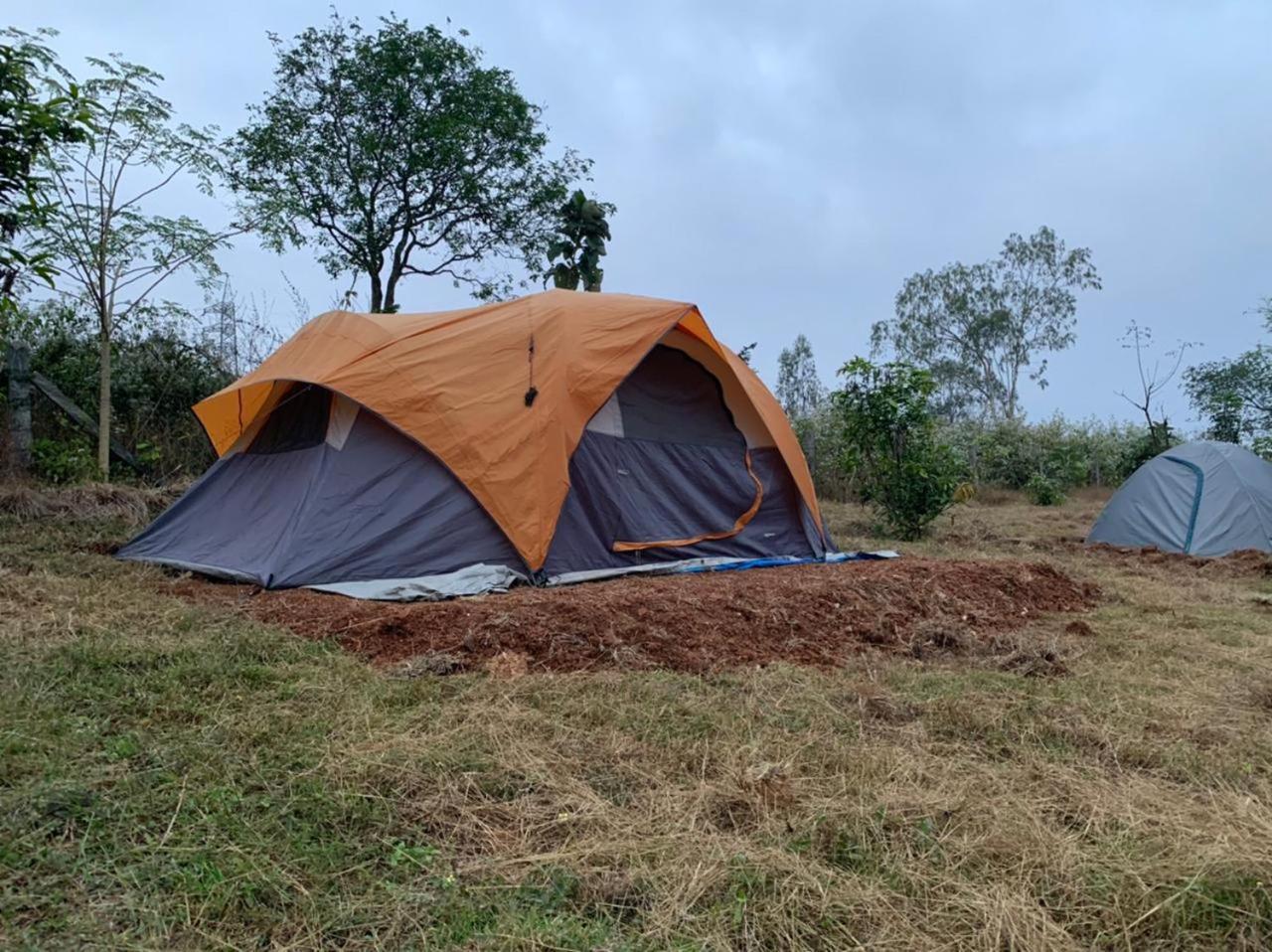 Wilderness Jungle Camp Otel Malavalli Dış mekan fotoğraf